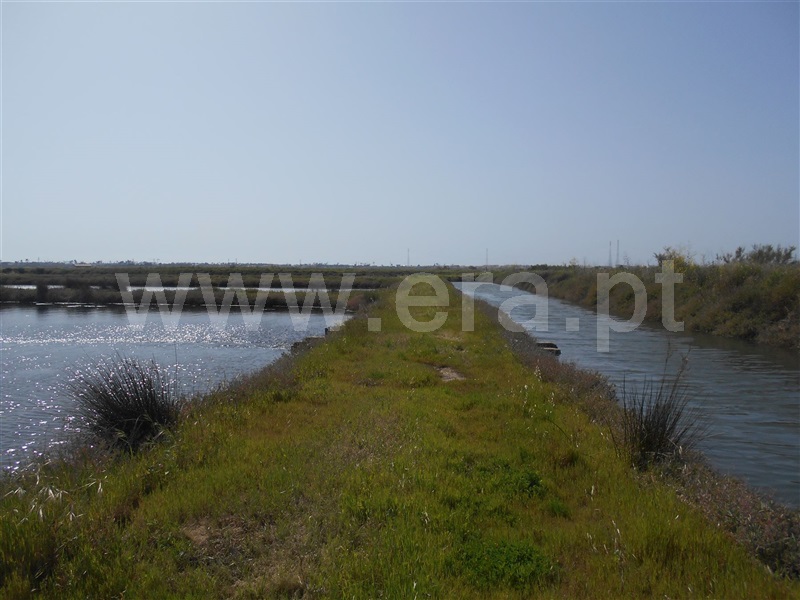 Terreno Misto T1 Figueira da Foz, São Pedro - 1003995 - 4