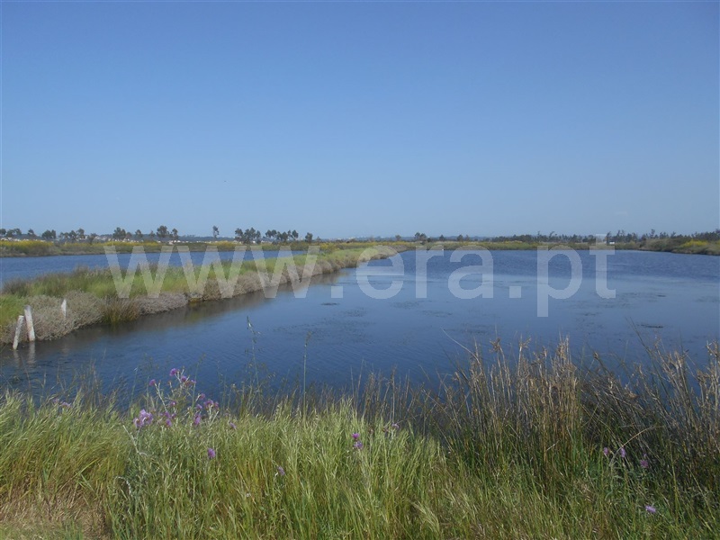 Terreno Misto T1 Figueira da Foz, São Pedro - 1003995 - 6
