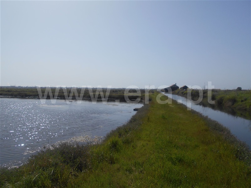 Terreno Misto T1 Figueira da Foz, São Pedro - 1003995 - 11