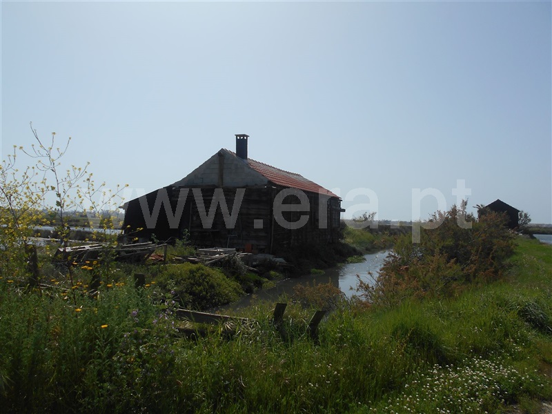 Terreno Misto T1 Figueira da Foz, São Pedro - 1003995 - 15
