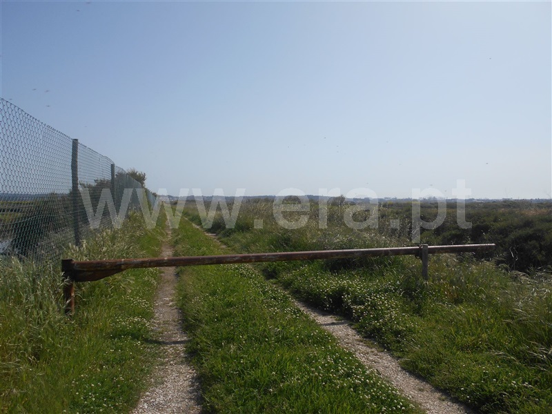 Terreno Misto T1 Figueira da Foz, São Pedro - 1003995 - 16
