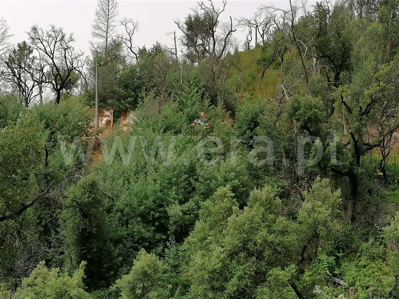 Terreno Misto T2 Monchique, Alferce - 1489642 - 2