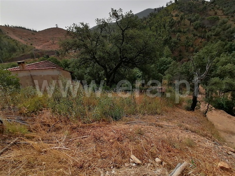 Terreno Misto T2 Monchique, Alferce - 1489642 - 3
