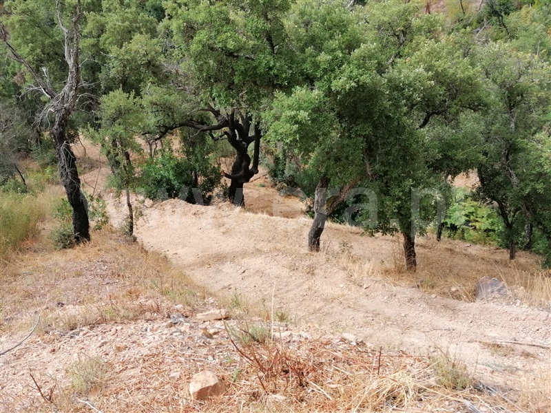 Terreno Misto T2 Monchique, Alferce - 1489642 - 4