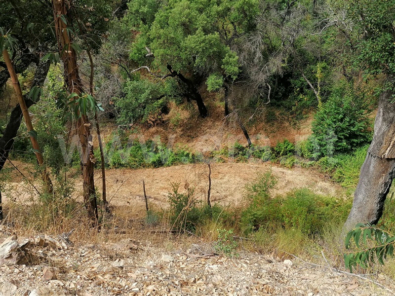 Terreno Misto T2 Monchique, Alferce - 1489642 - 5