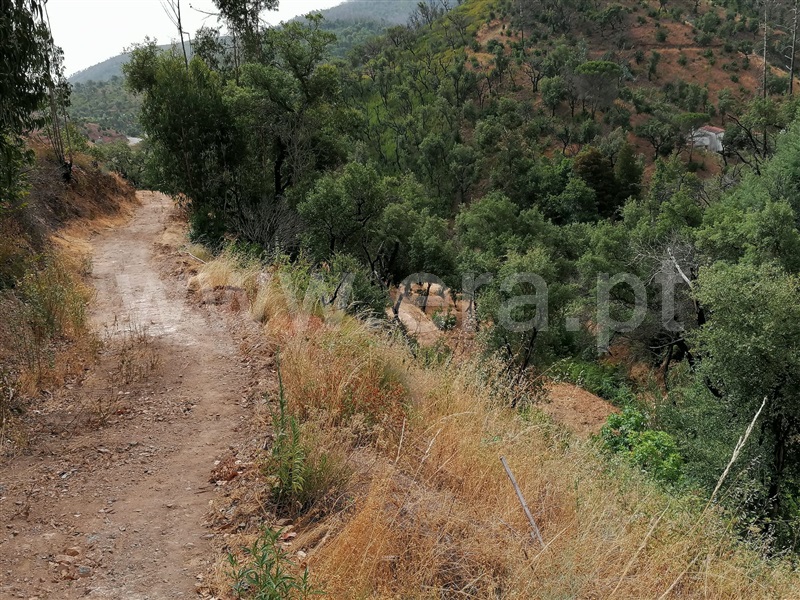 Terreno Misto T2 Monchique, Alferce - 1489642 - 6