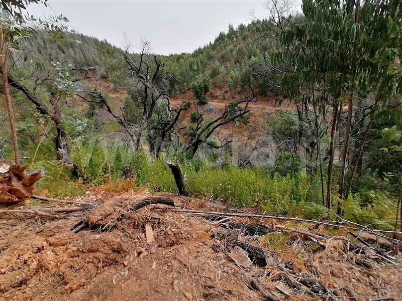 Terreno Misto T2 Monchique, Alferce - 1489642 - 8