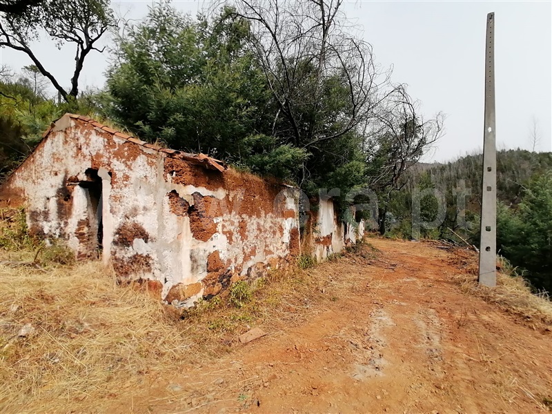Terreno Misto T2 Monchique, Alferce - 1489642 - 9