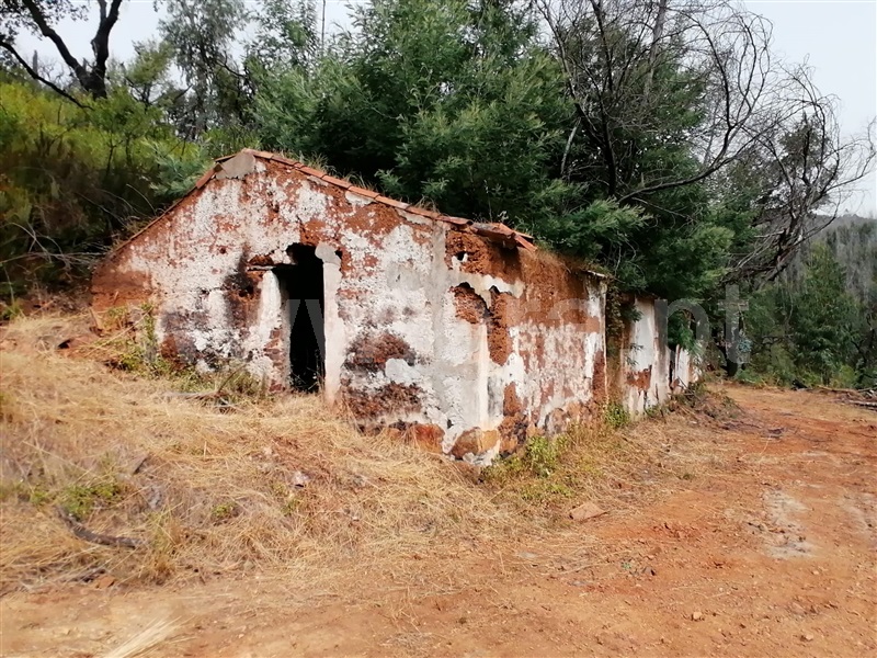 Terreno Misto T2 Monchique, Alferce - 1489642 - 14