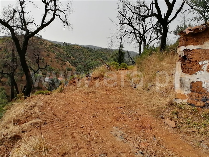 Terreno Misto T2 Monchique, Alferce - 1489642 - 15
