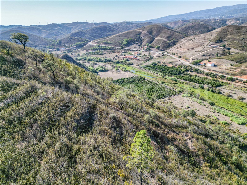 Terreno com ruina  Monchique, Monchique - 1363819 - 7