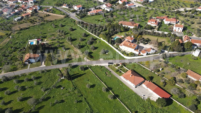 Terreno Misto / Tomar, Tomar (São João Baptista) e Santa Maria dos Olivais