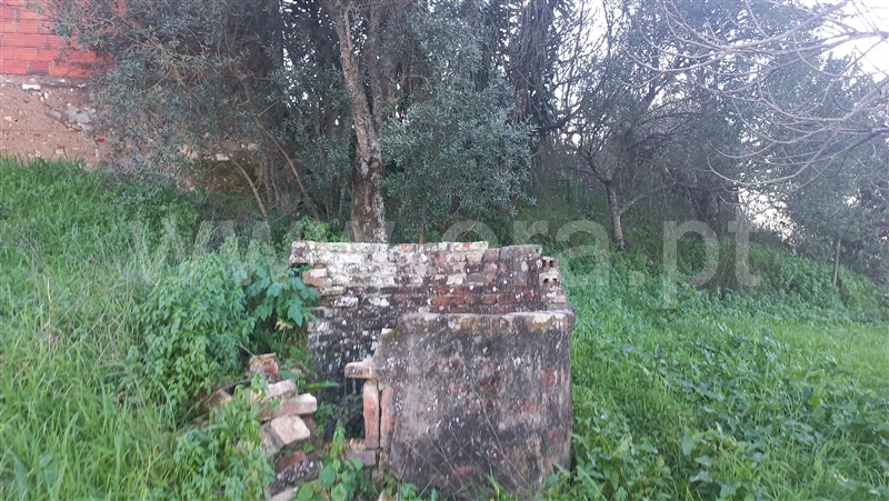Terreno Misto  Torres Novas, Brogueira, Parceiros de Igreja e Alcorochel - 1244969 - 3