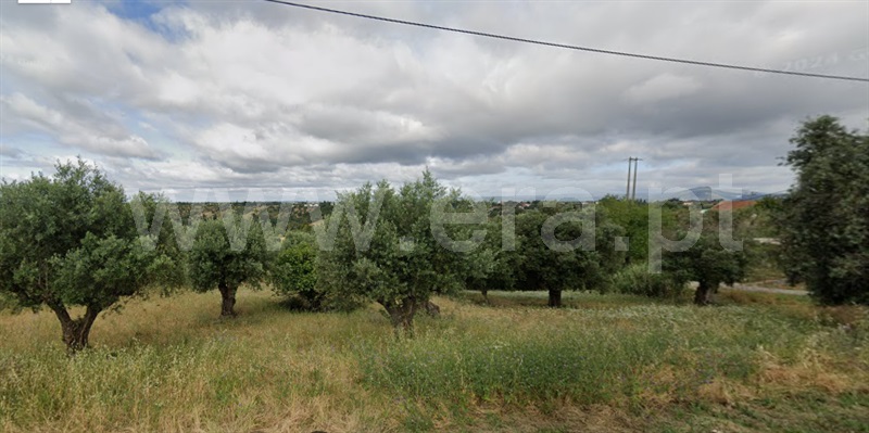 Terreno Misto  Torres Novas, Brogueira - 1417842 - 1