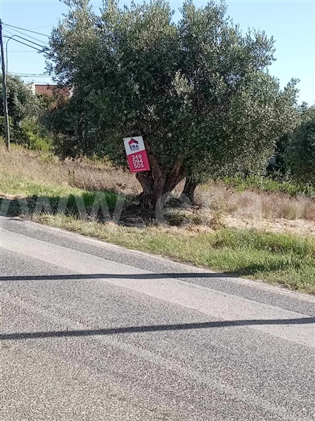Terreno Misto  Torres Novas, Brogueira - 1417842 - 6