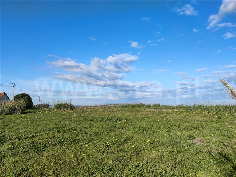 Terreno Misto  Torres Vedras, Freiria - 1450108 - 3