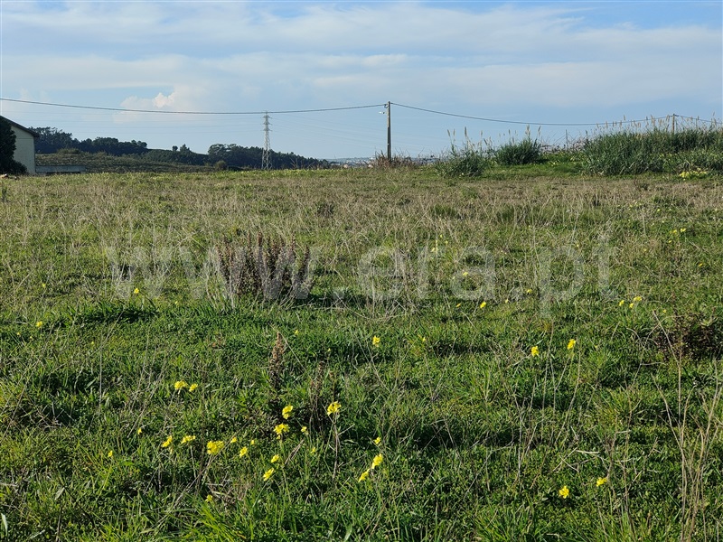 Terreno Misto  Torres Vedras, Freiria - 1450108 - 9