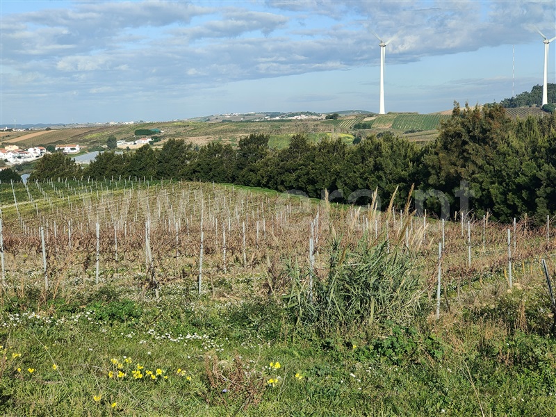 Terreno Misto  Torres Vedras, Freiria - 1450108 - 10