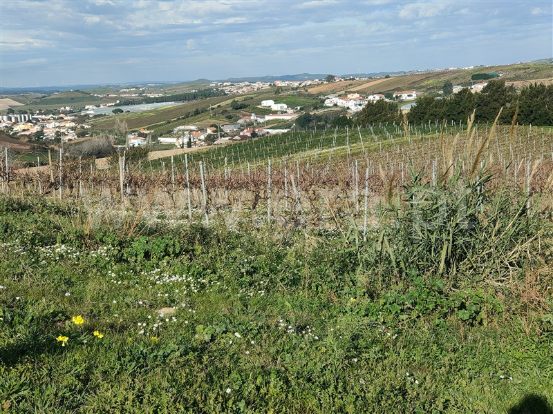 Terreno Misto  Torres Vedras, Freiria - 1450108 - 11