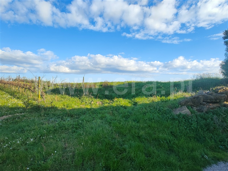 Terreno Misto  Torres Vedras, Freiria - 1450108 - 13