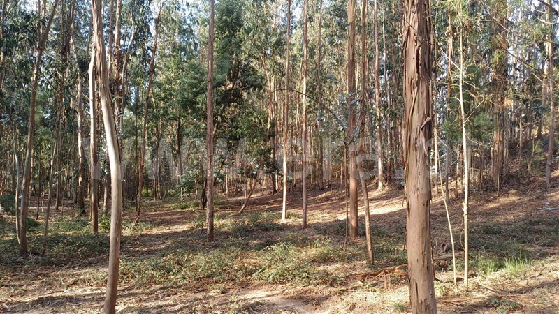 Terreno Misto  Trofa, Bougado (São Martinho e Santiago) - 1360654 - 2