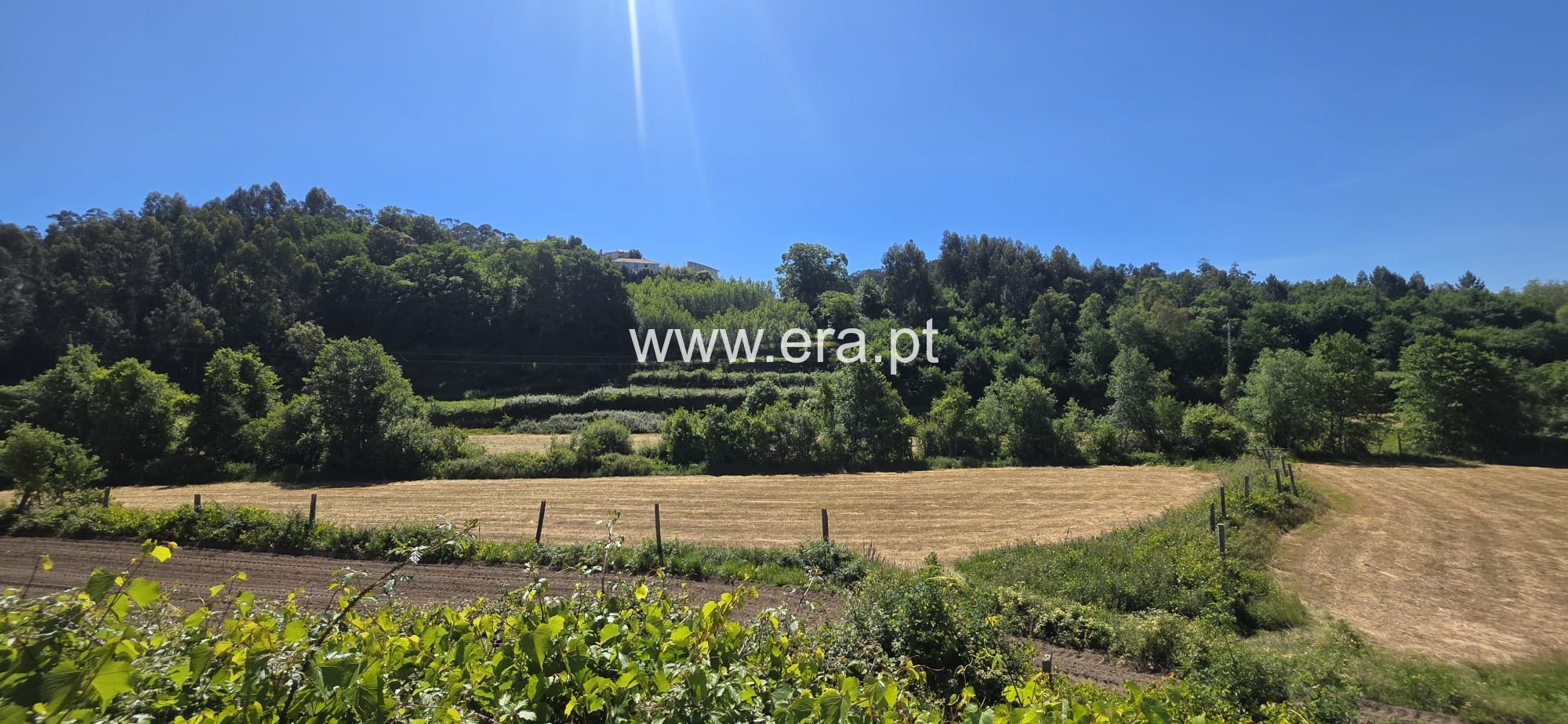 Terreno Misto / Vale de Cambra, Macieira de Cambra
