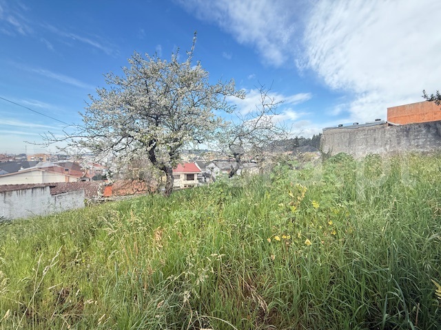 Terreno Misto  Valongo, Alfena - 1503266 - 5