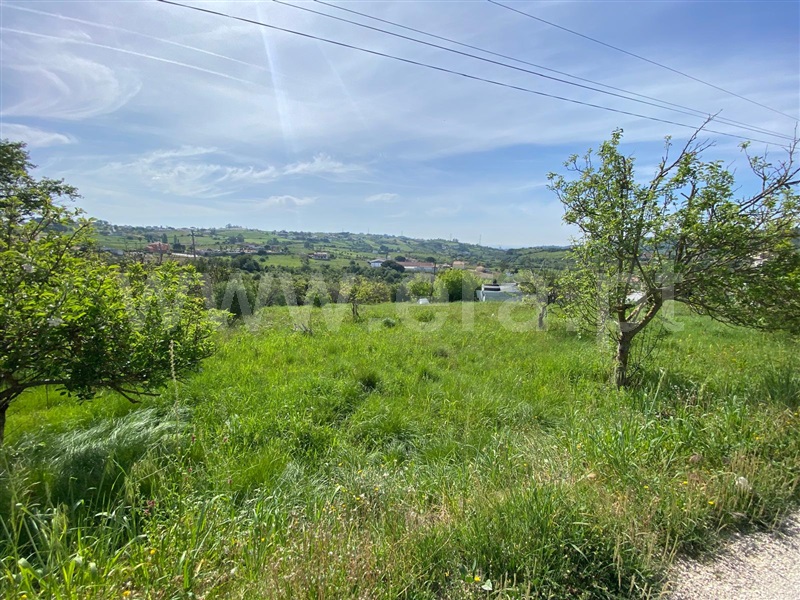 Terreno Misto / Vila Franca de Xira, Cotovios