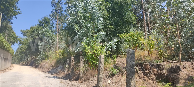 Terreno Misto  Vila Nova de Famalicão, Gondifelos, Cavalões e Outiz - 1131050 - 3