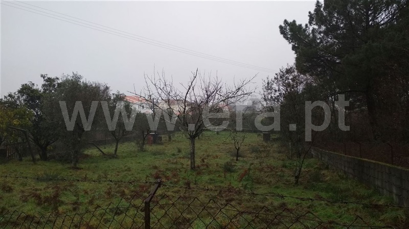 Terreno Misto / Viseu, Repeses e São Salvador