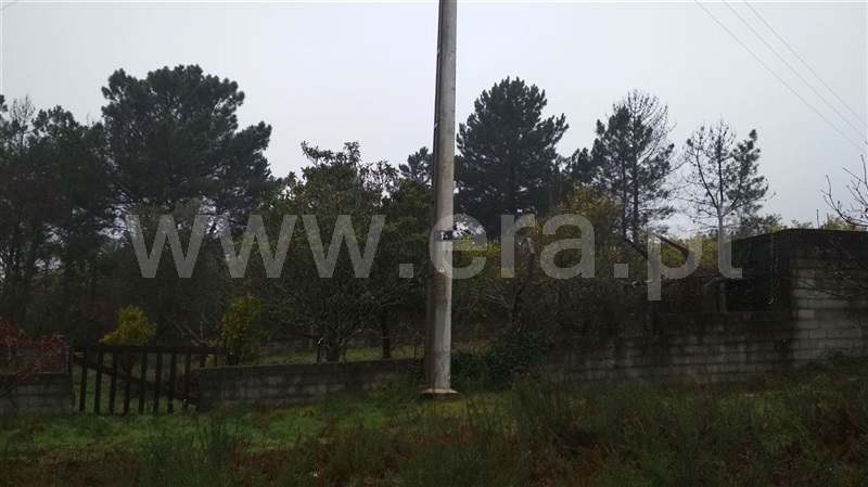Terreno Misto  Viseu, Repeses - 1066804 - 2
