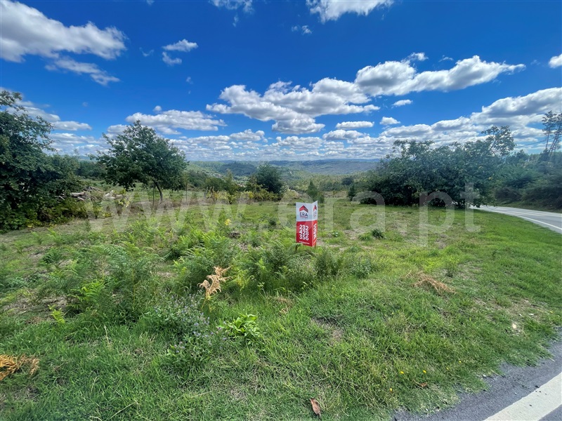 Terreno Misto / Viseu, São Pedro de France