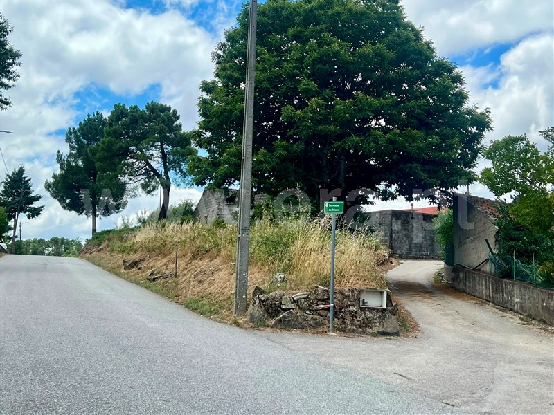 Terreno / Moimenta da Beira, Passô