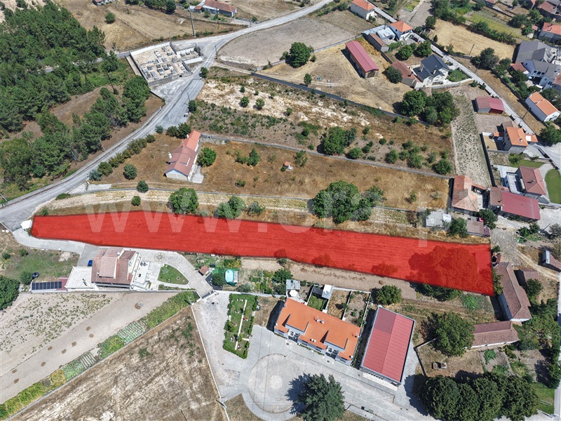 Terreno / Moimenta da Beira, Peva e Segões