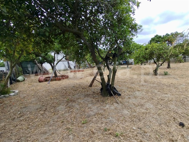 Terreno / Moita, Zona 11 - Alhos Vedros Centro