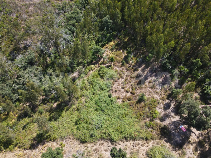 Terreno  Monchique