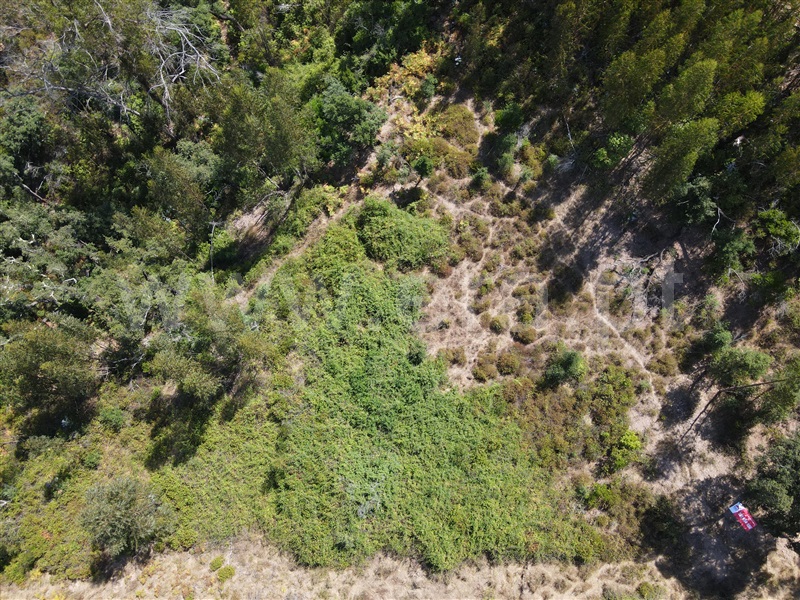 Terreno  Monchique 