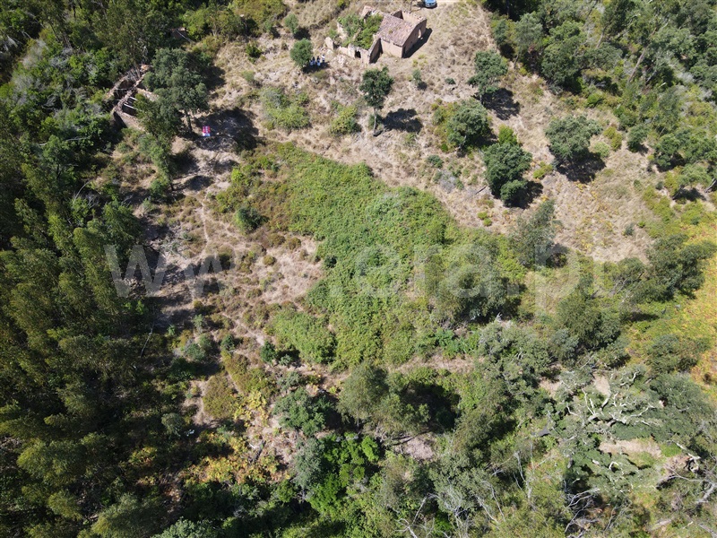 Terreno  Monchique 