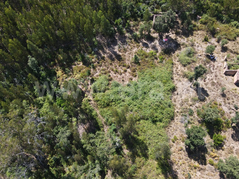 Terreno  Monchique 