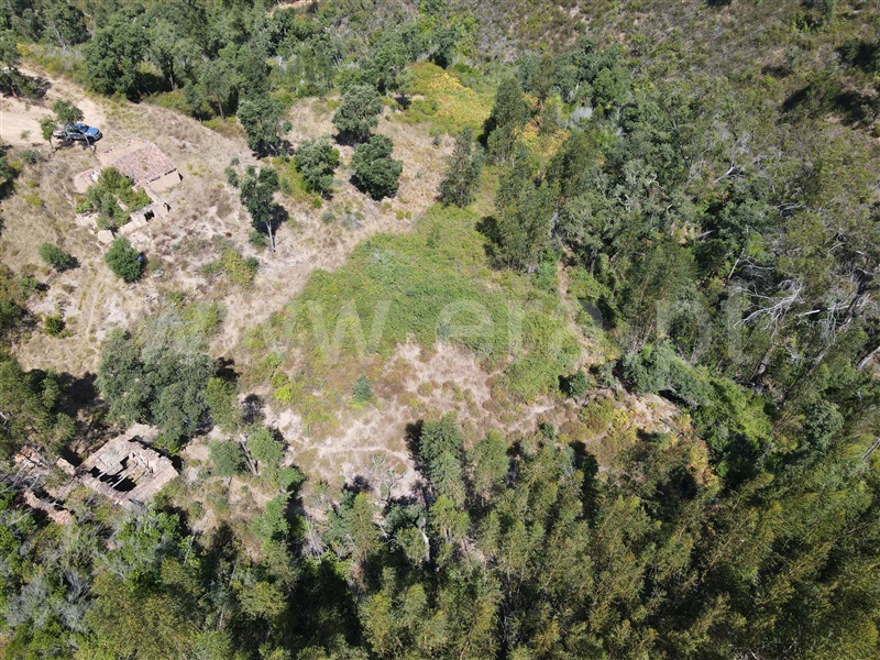 Terreno  Monchique 