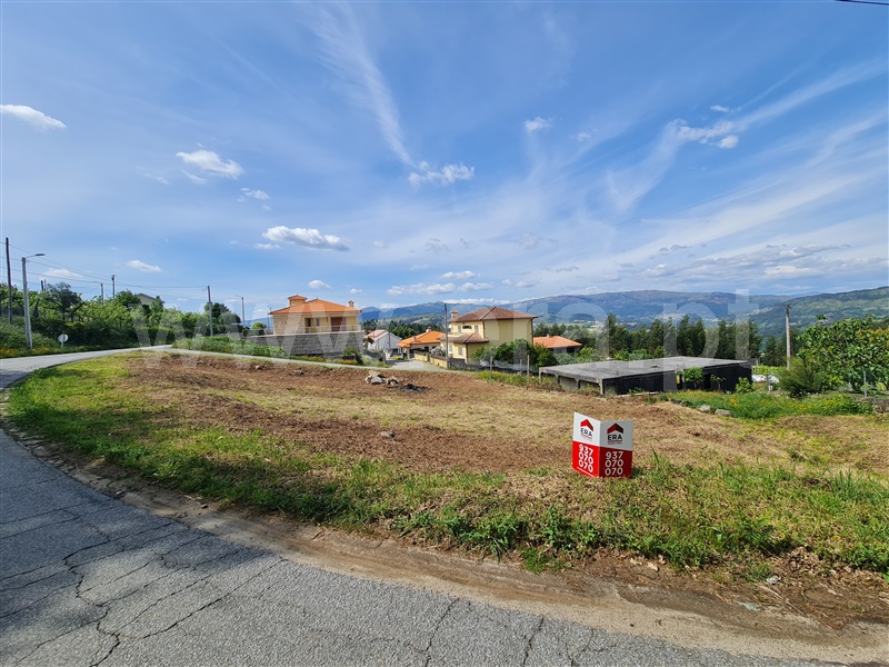 Terreno / Mondim de Basto, Atei