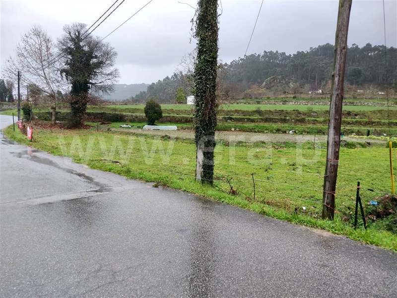 Terreno  Mondim de Basto, Ermelo e Pardelhas - 1375734 - 2