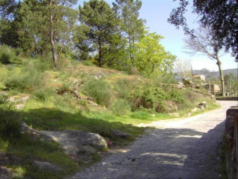 Terreno / Mondim de Basto, Mondim de Basto