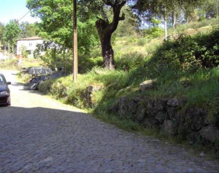 Terreno  Mondim de Basto - 105051 - 3