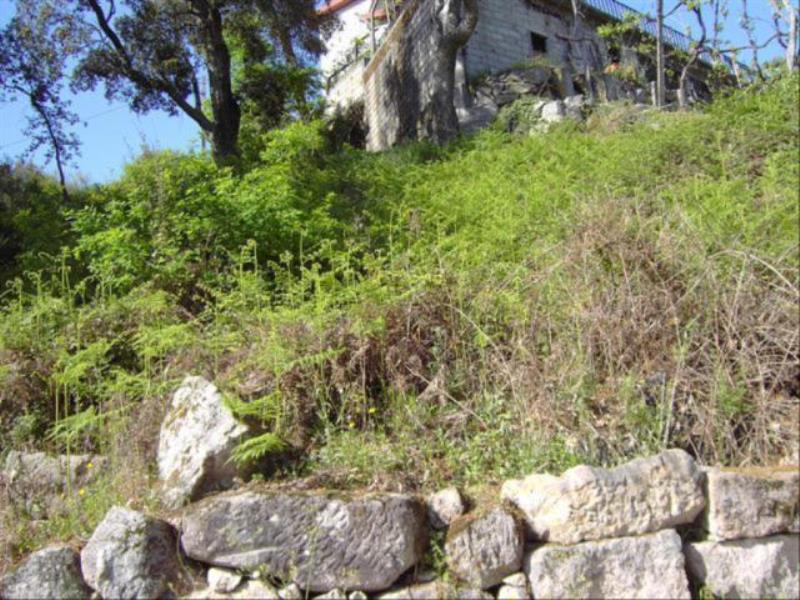 Terreno  Mondim de Basto - 105051 - 7