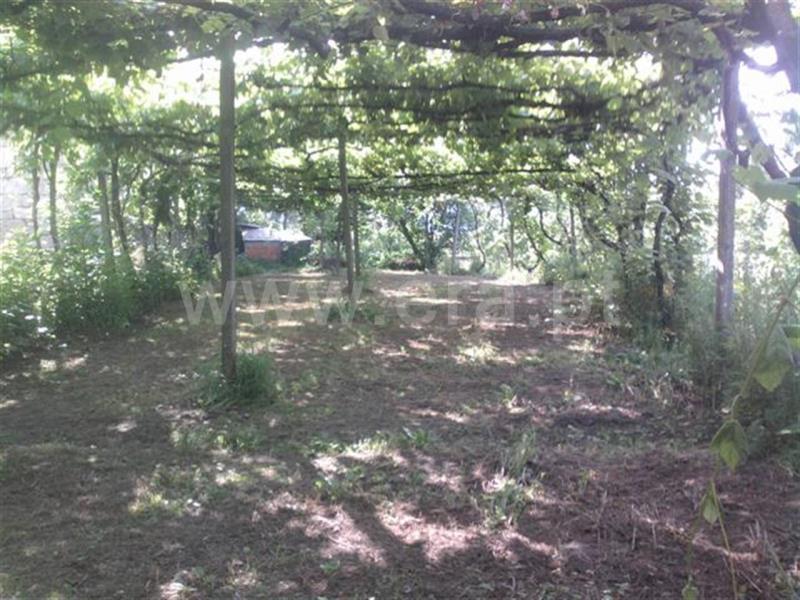 Terreno  Mondim de Basto - 506821 - 4