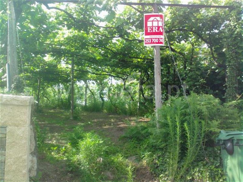 Terreno / Mondim de Basto, Mondim de Basto