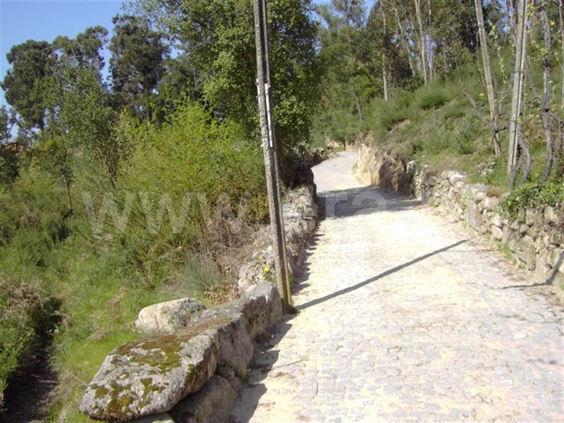 Terreno  Mondim de Basto - 990787 - 4