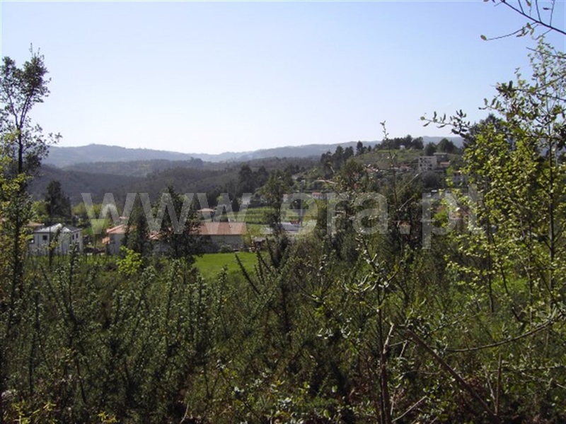 Terreno / Mondim de Basto, Mondim de Basto