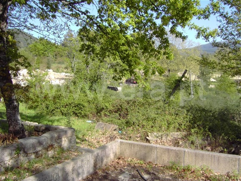 Terreno  Mondim de Basto - 990787 - 5